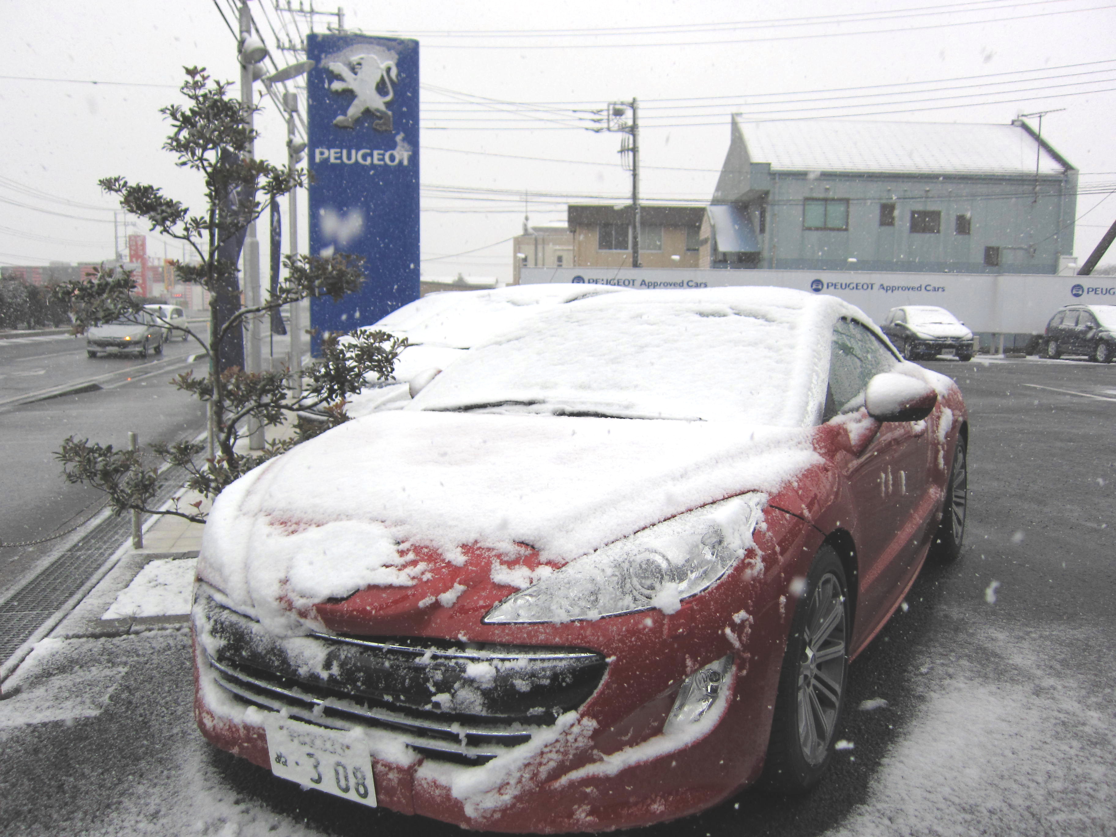 水戸にも雪が・・・・