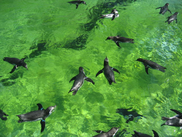 葛西臨海水族園