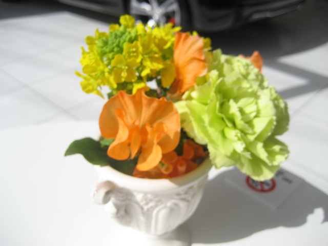 春の花