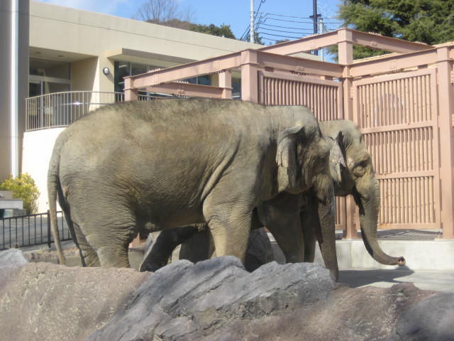 かみね動物園2