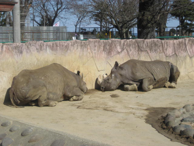 かみね動物園3