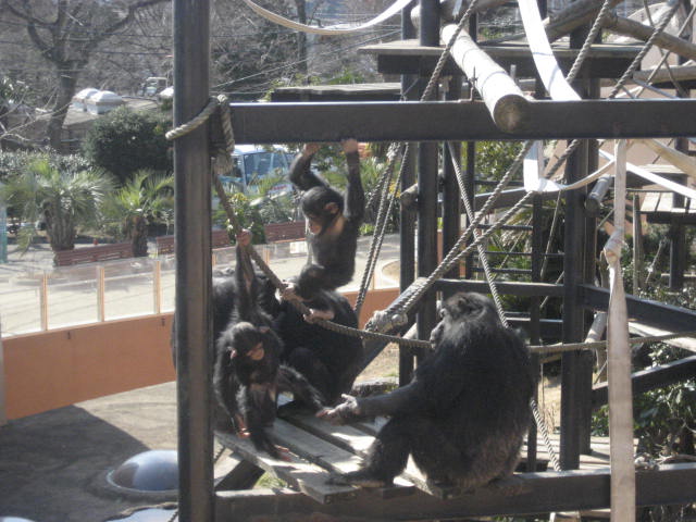 かみね動物園4