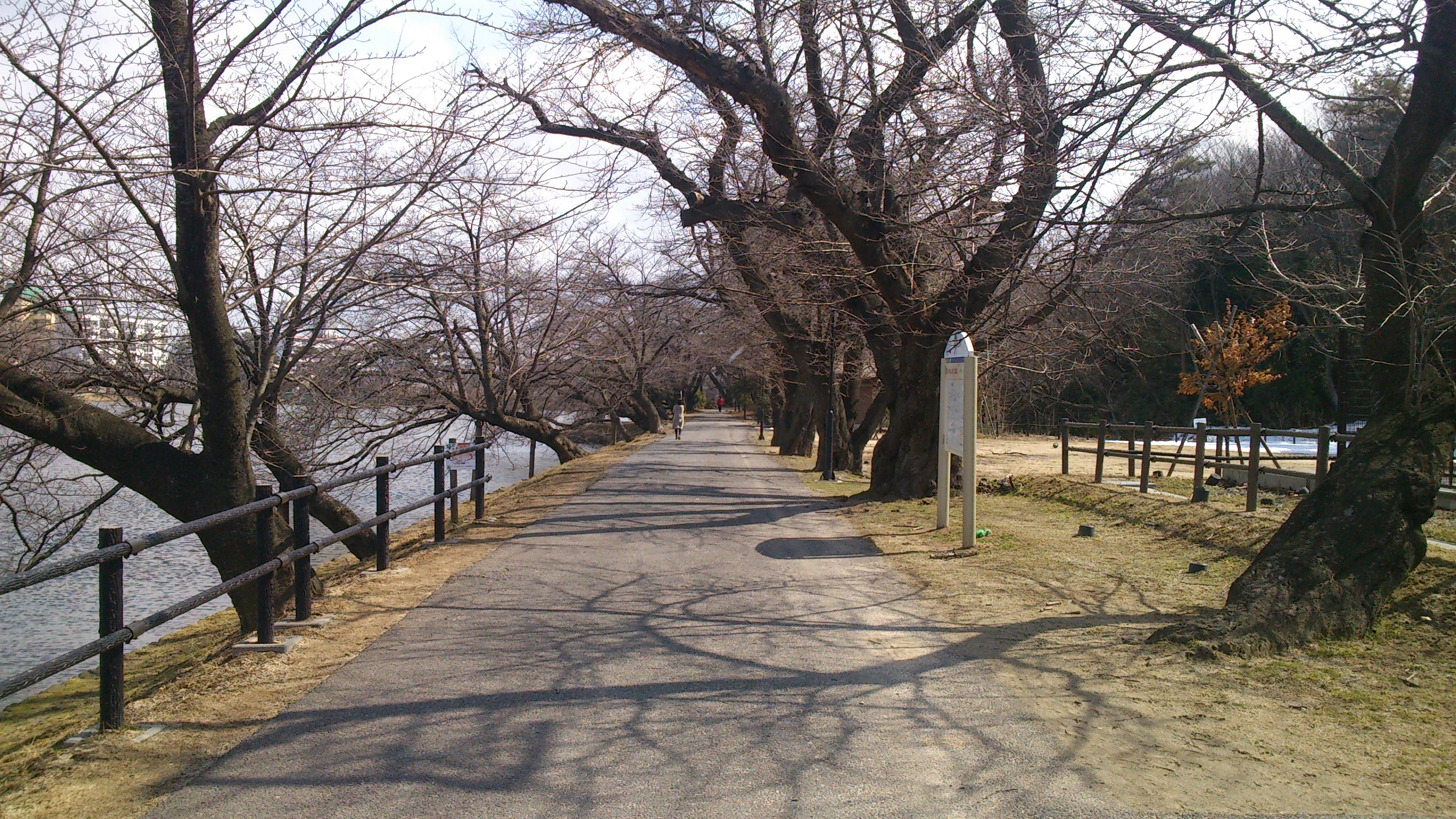 五百淵公園