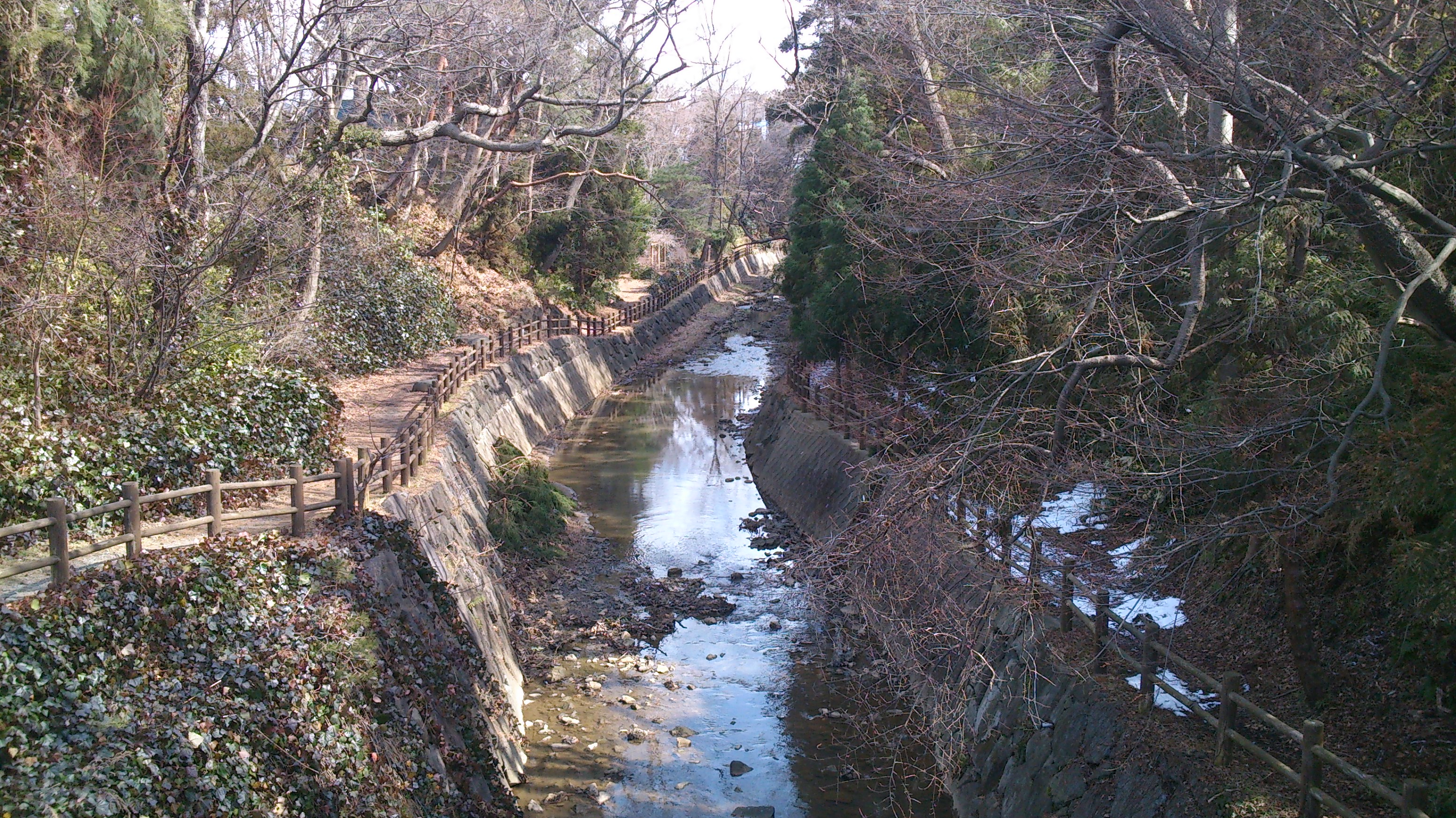 南川渓谷