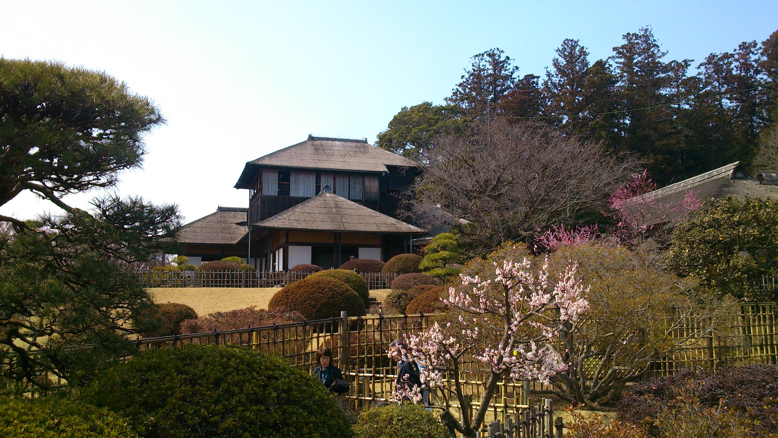 梅の都