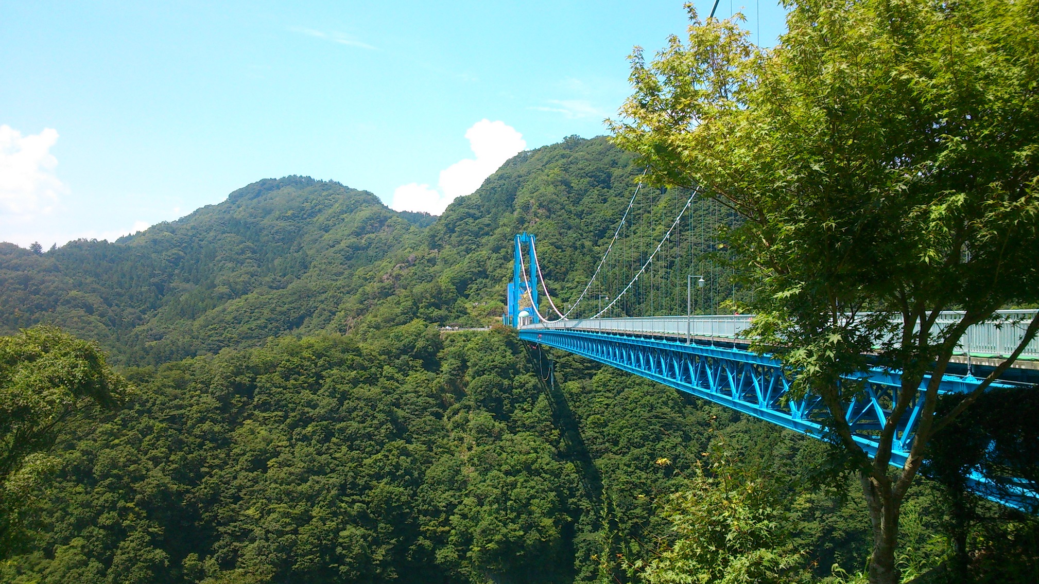 竜神大吊り橋　