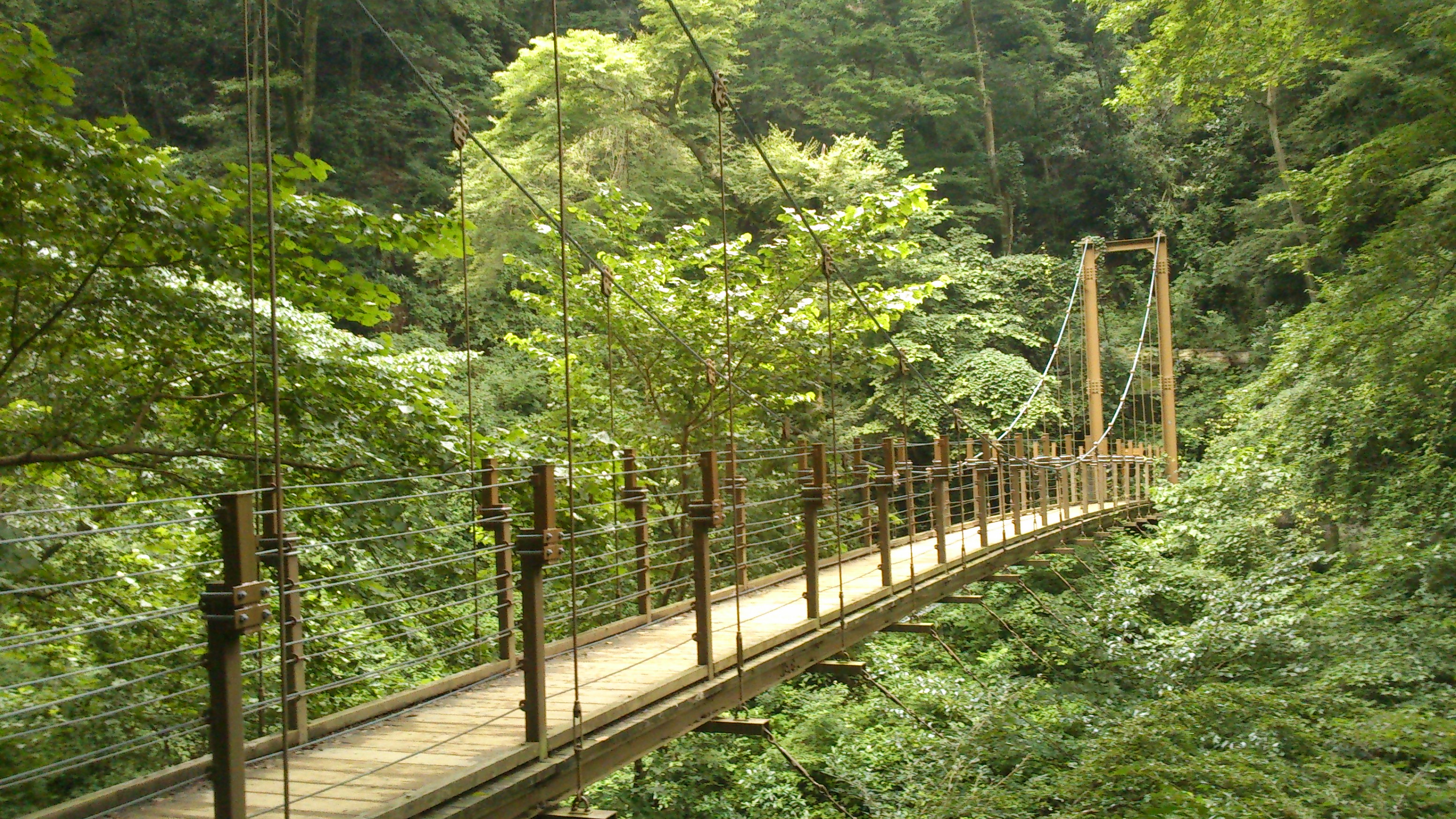 高尾山　4号路