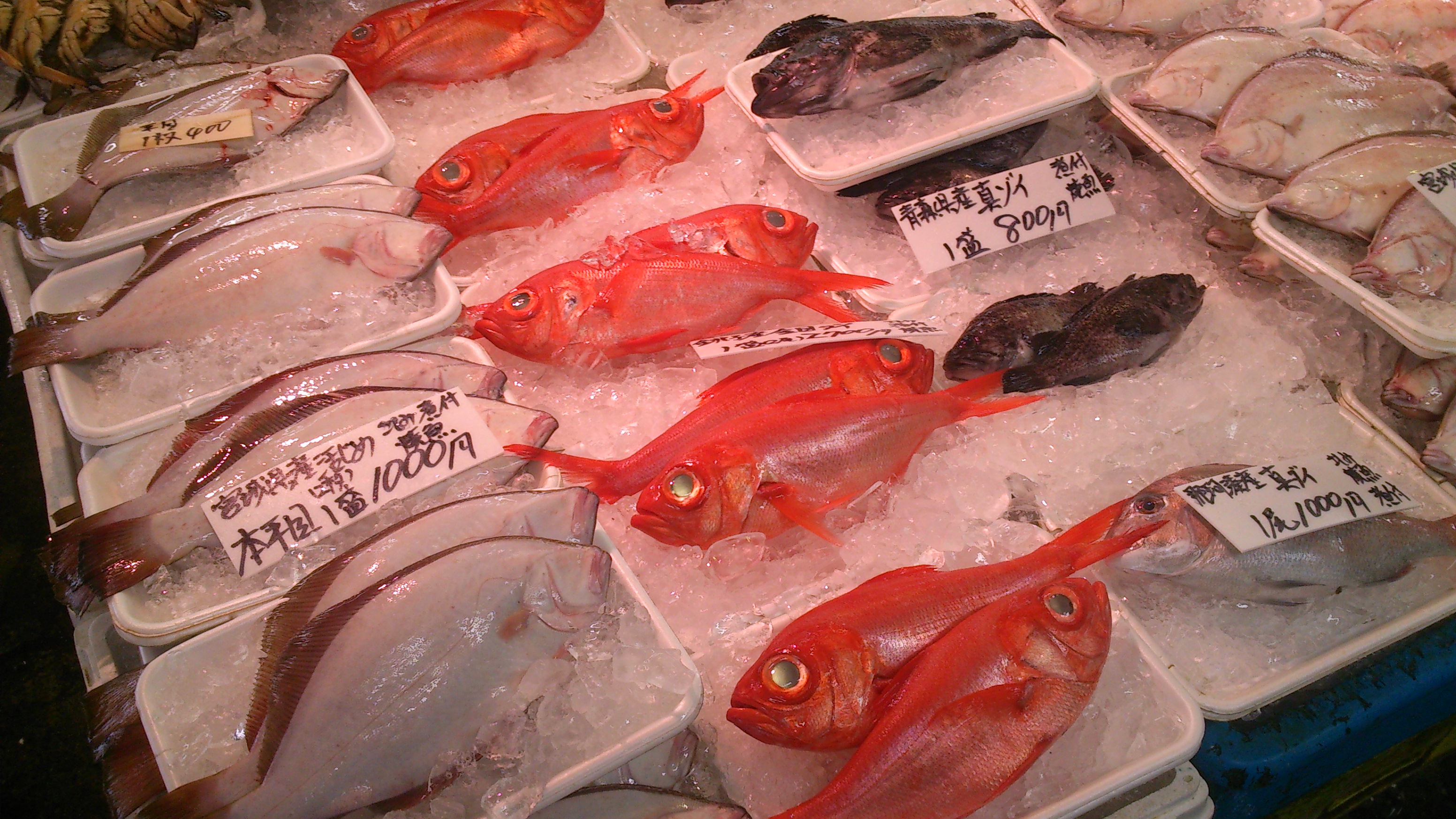 那珂湊　魚市場