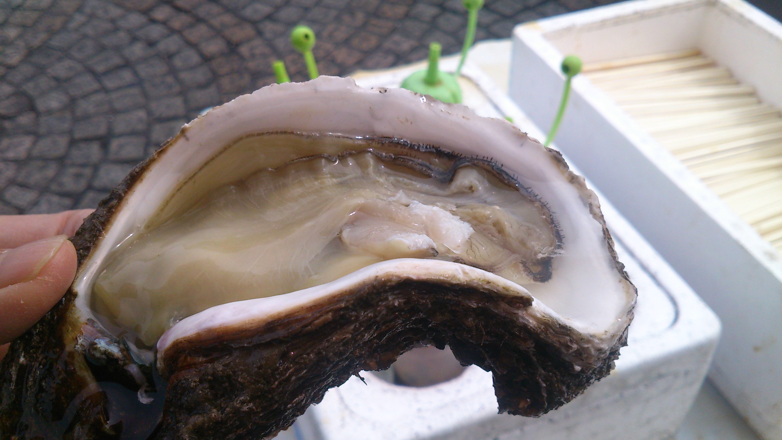 発見！　那珂湊　魚市場　美味しいもの