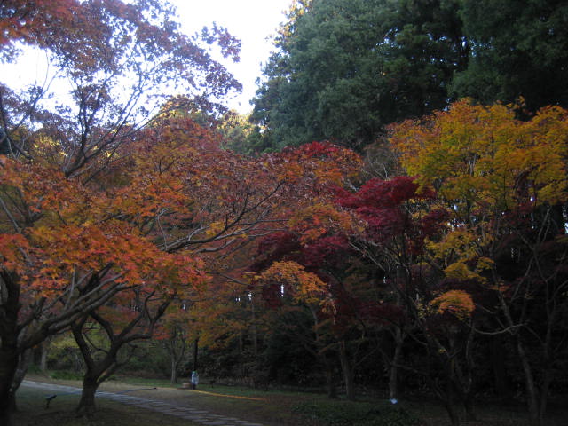水戸の紅葉スポットといえば　