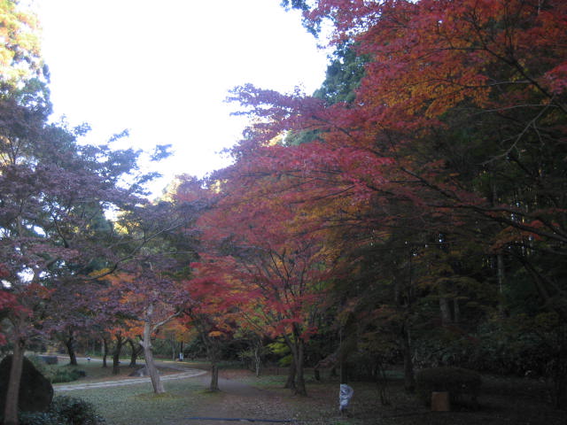 水戸の紅葉スポットといえば　
