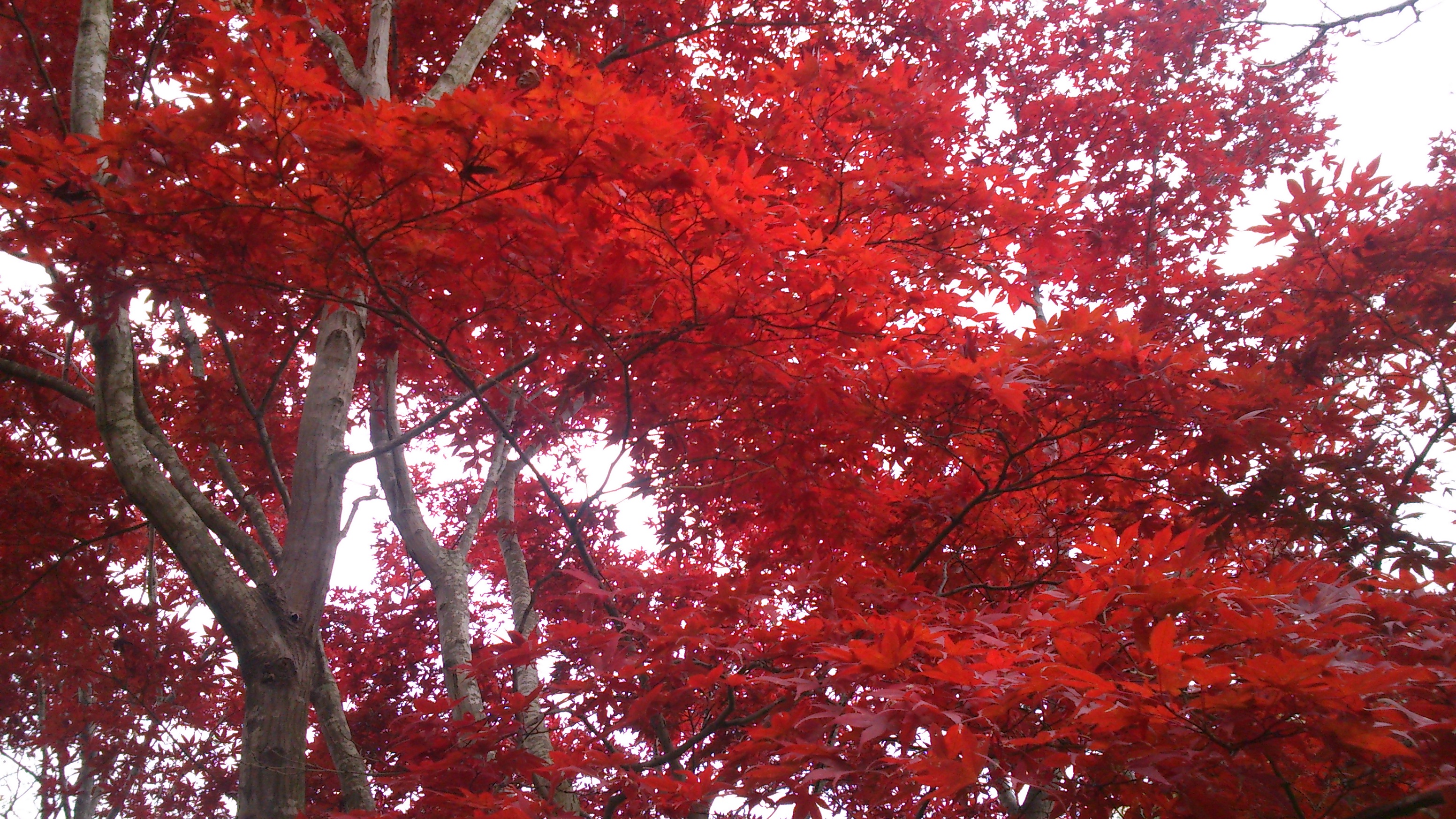 いま、おすすめのドライブコース