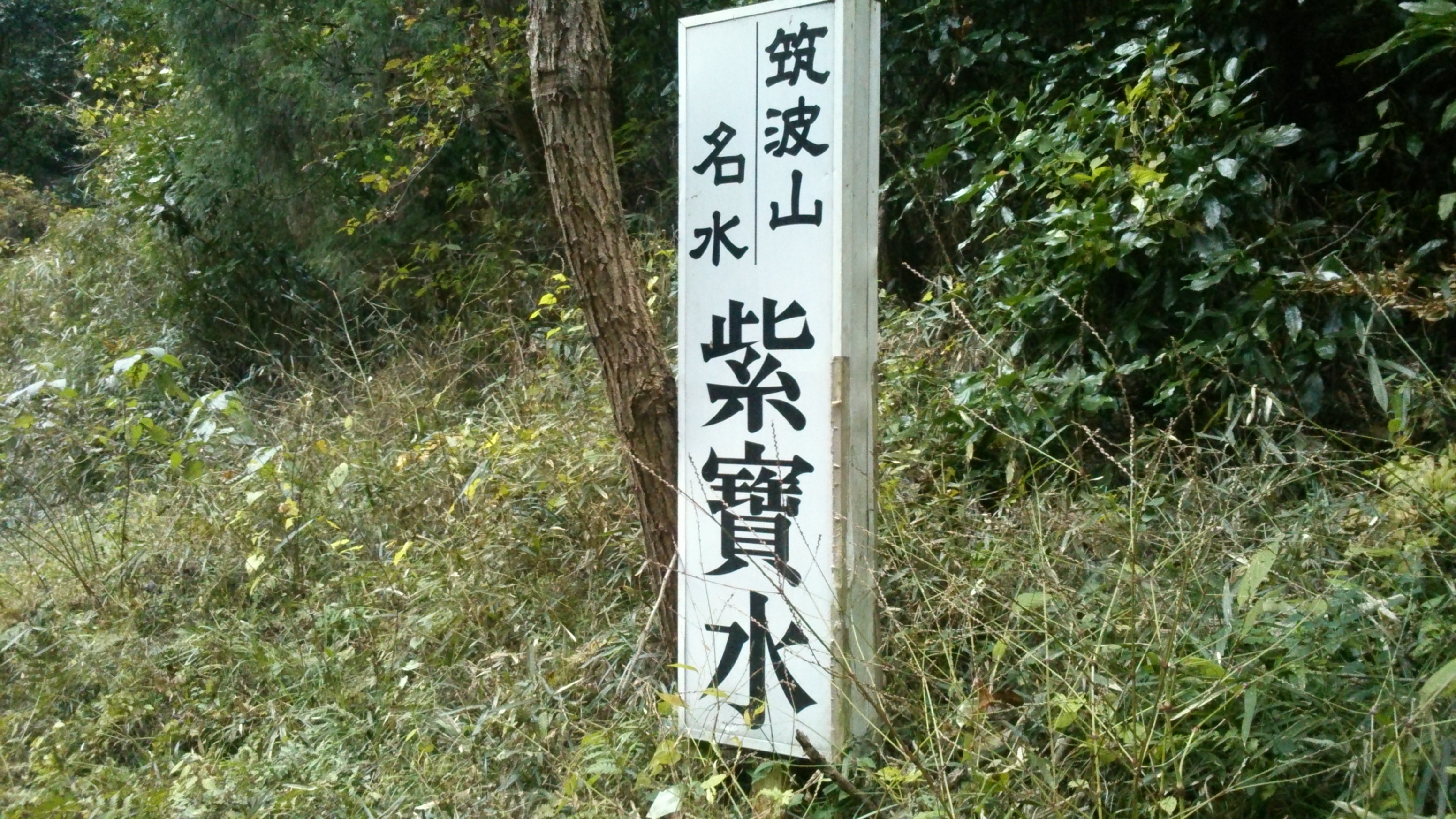 筑波山の名水　紫寶水　(しほうすい)