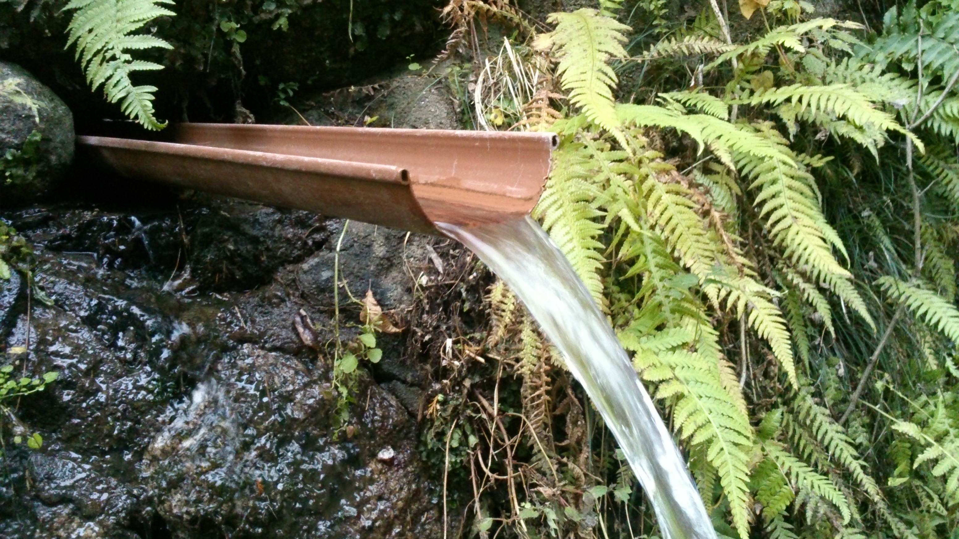 筑波山の名水　紫寶水　(しほうすい)