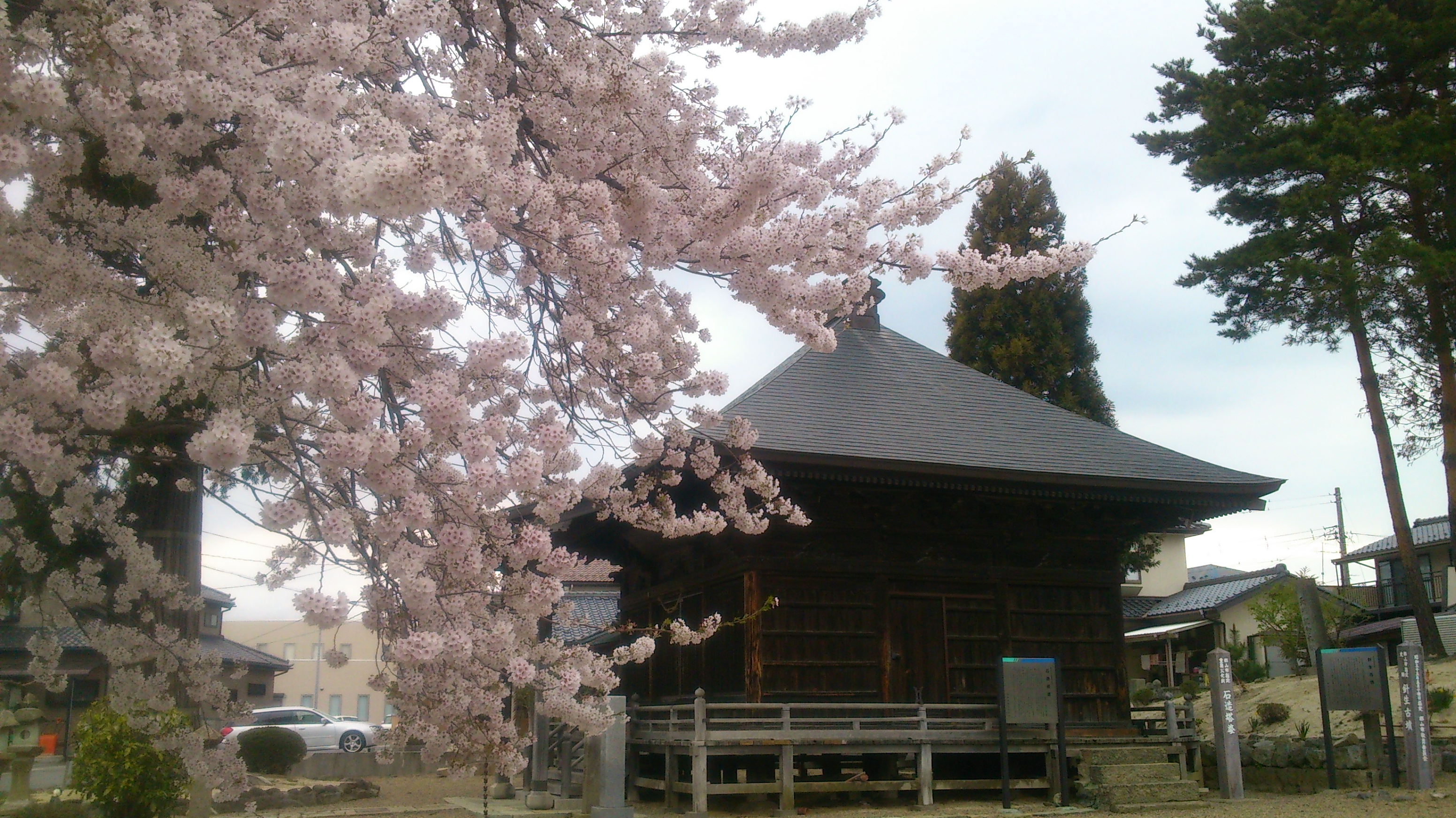 なめこ新芽と蕎麦