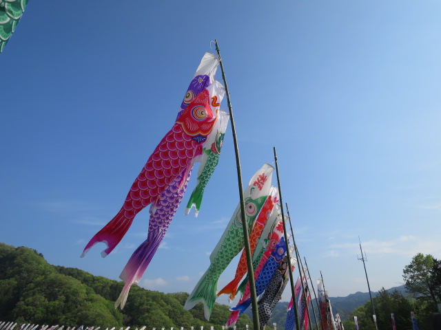 竜神峡鯉のぼりまつり
