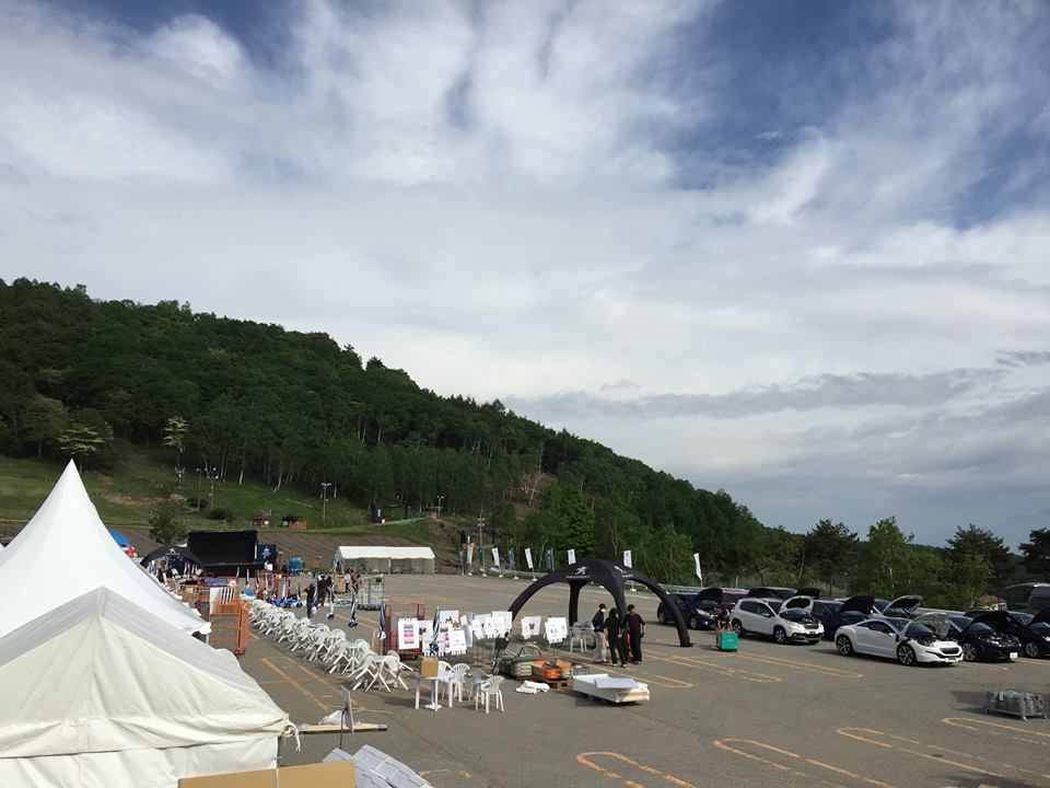 PEUGEOT LION MEETING 2015