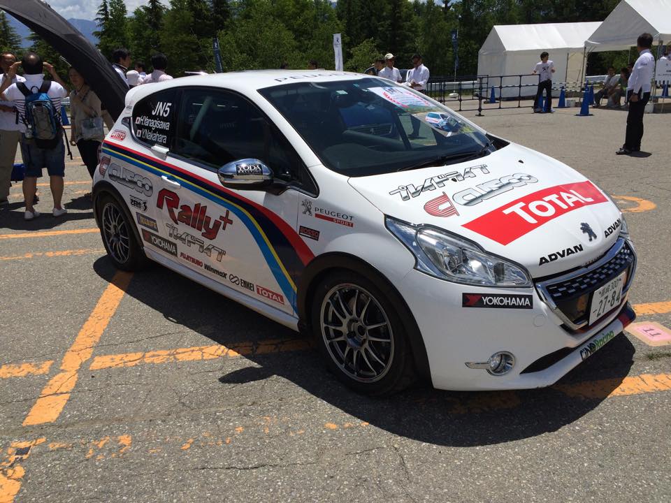 PEUGEOT LION MEETING 2015