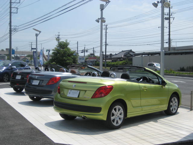 オープンカーを取り揃えました！