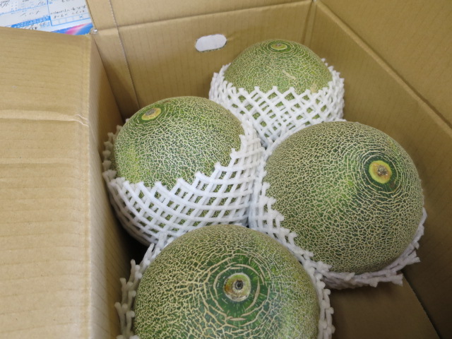 鉾田のメロン