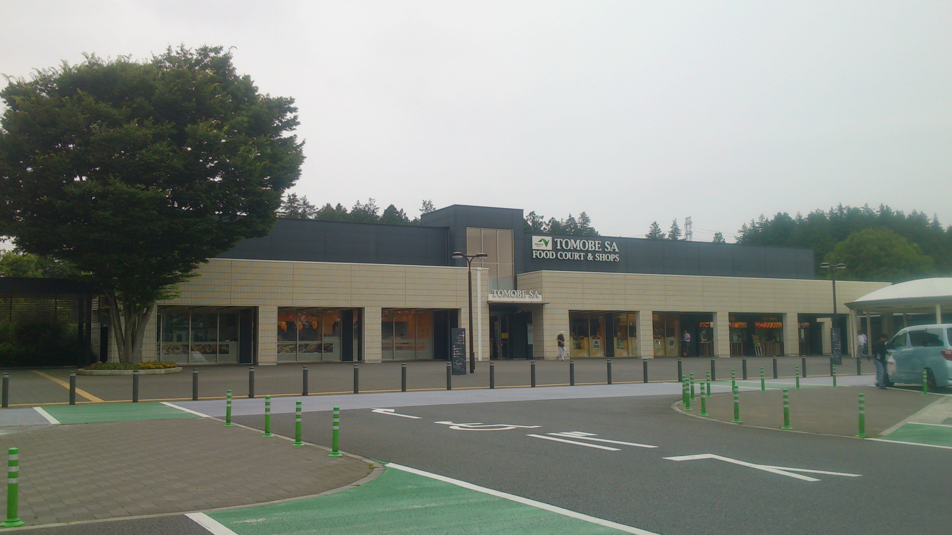 夏野菜蕎麦