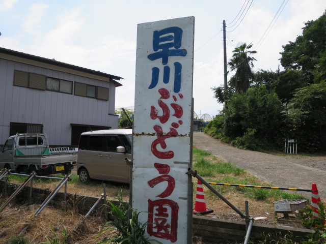 ヒムロット！
