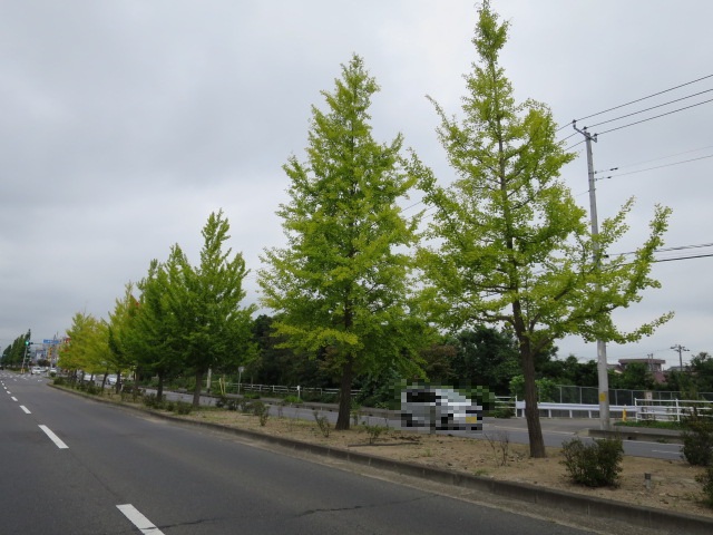 ご成約御礼