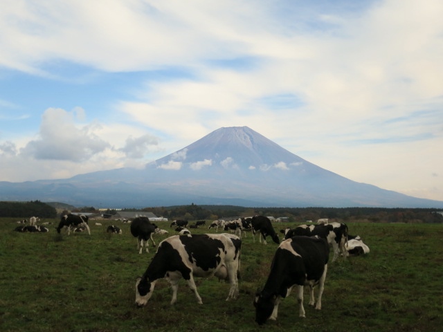 朝霧高原