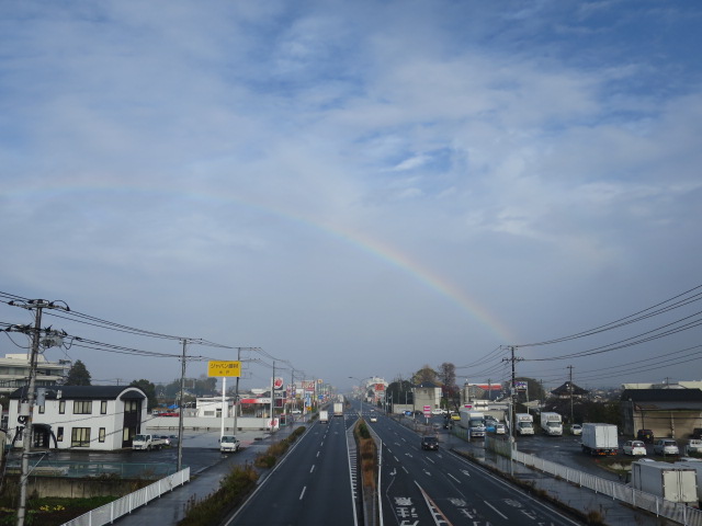 虹に願いを