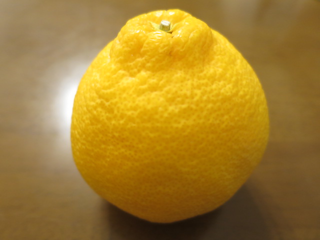 熊本の名産品