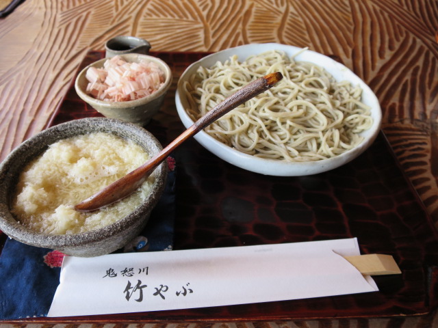 守谷市　鬼怒川　竹やぶ