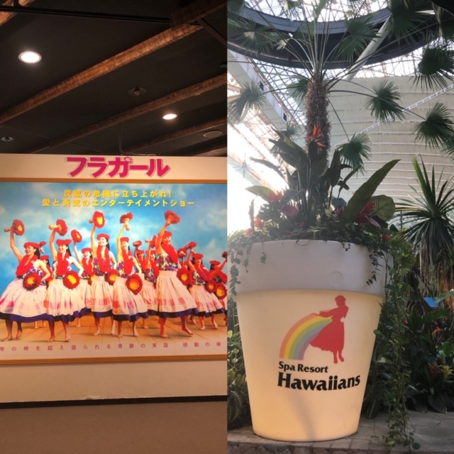 ✦明日は定休日です✦