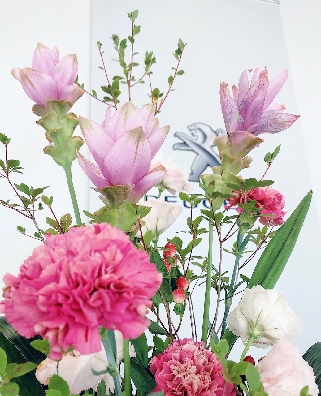 ✿今週のお花✿