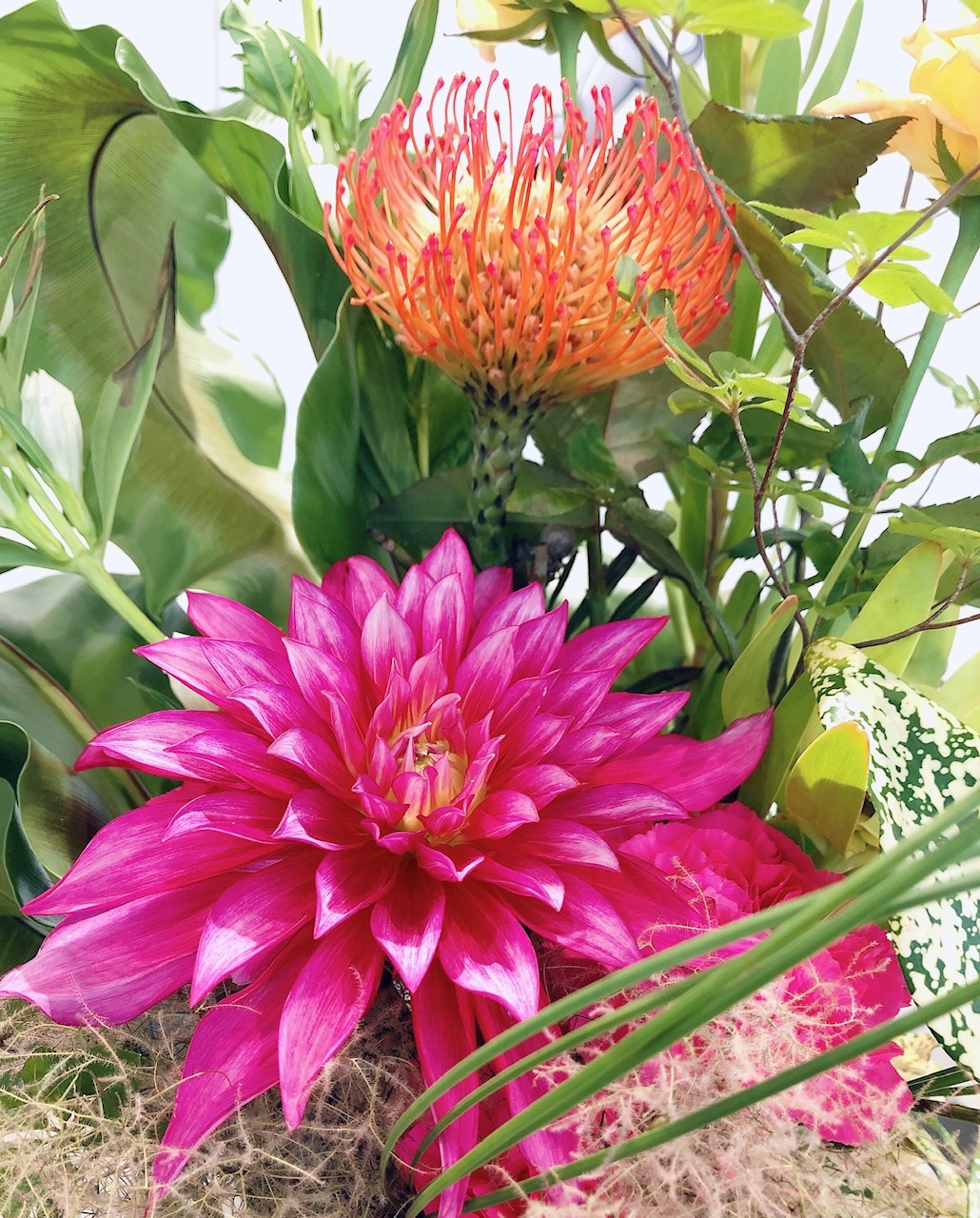 ✧今週のお花✧