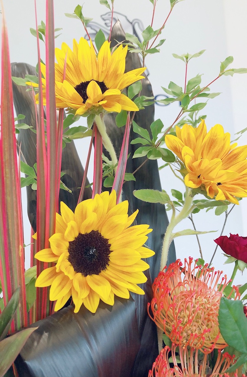 ☀今週のお花☀