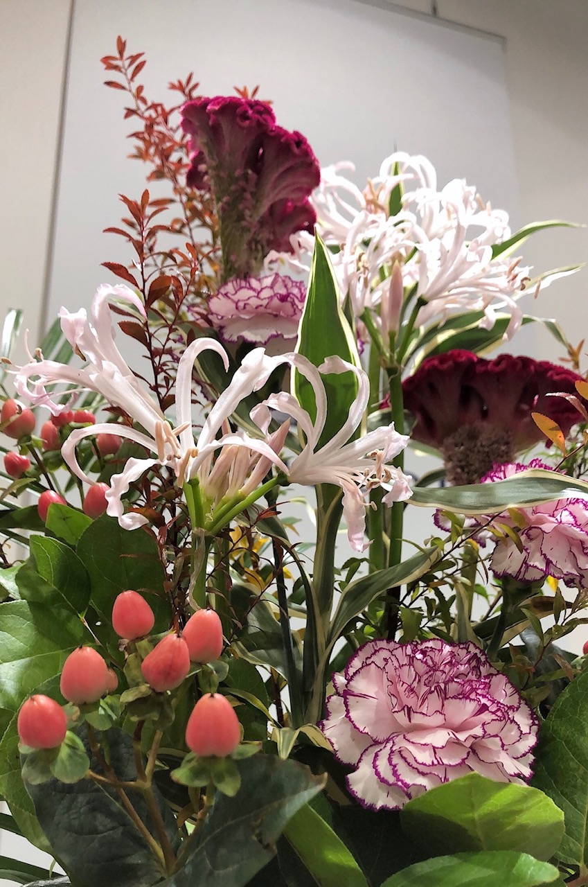 ✿今週のお花✿