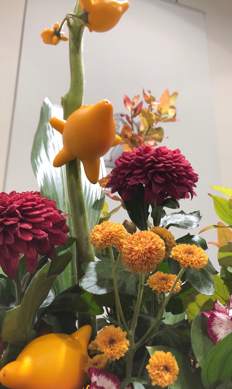 ❦今週のお花❧