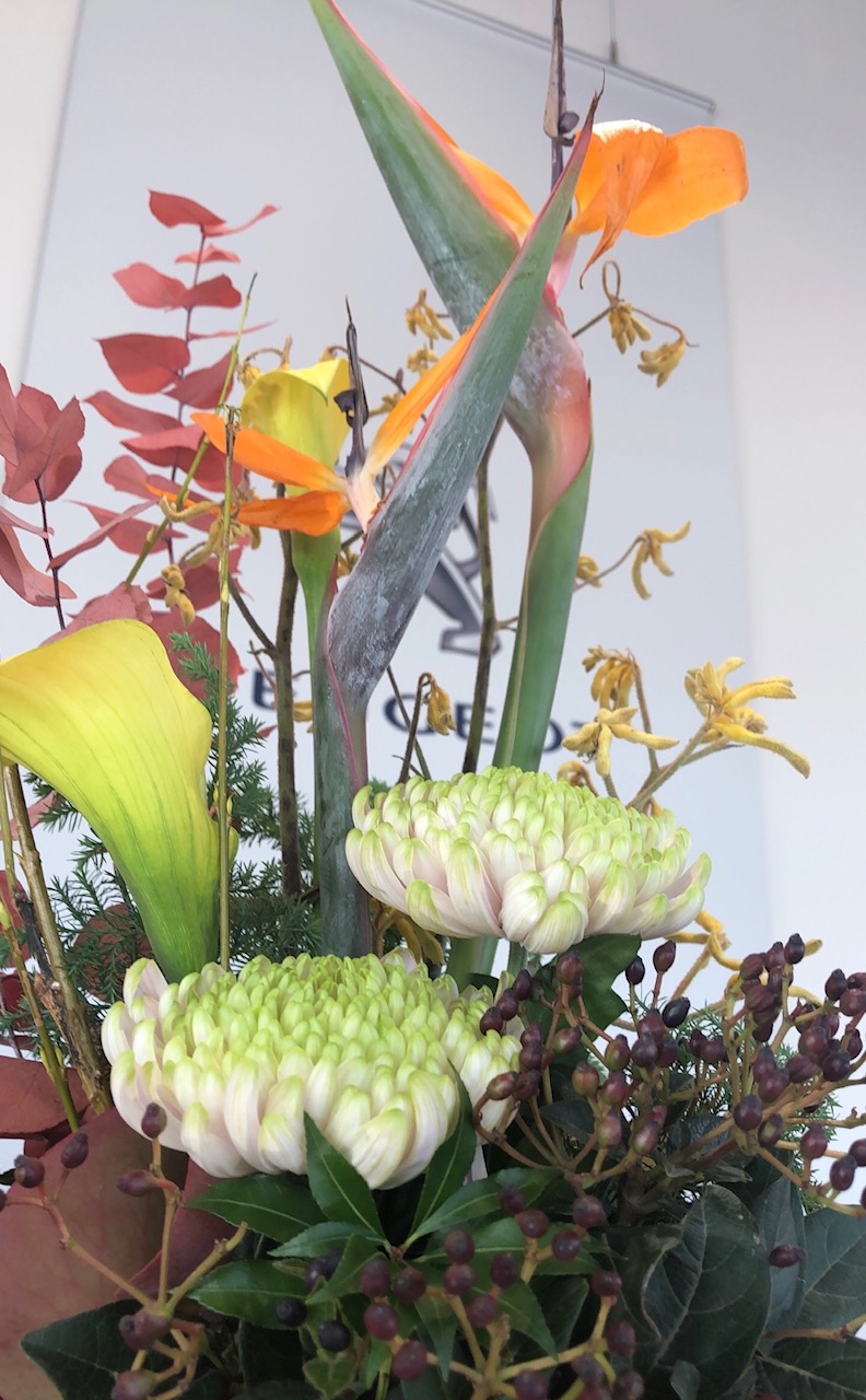✧今週のお花✧