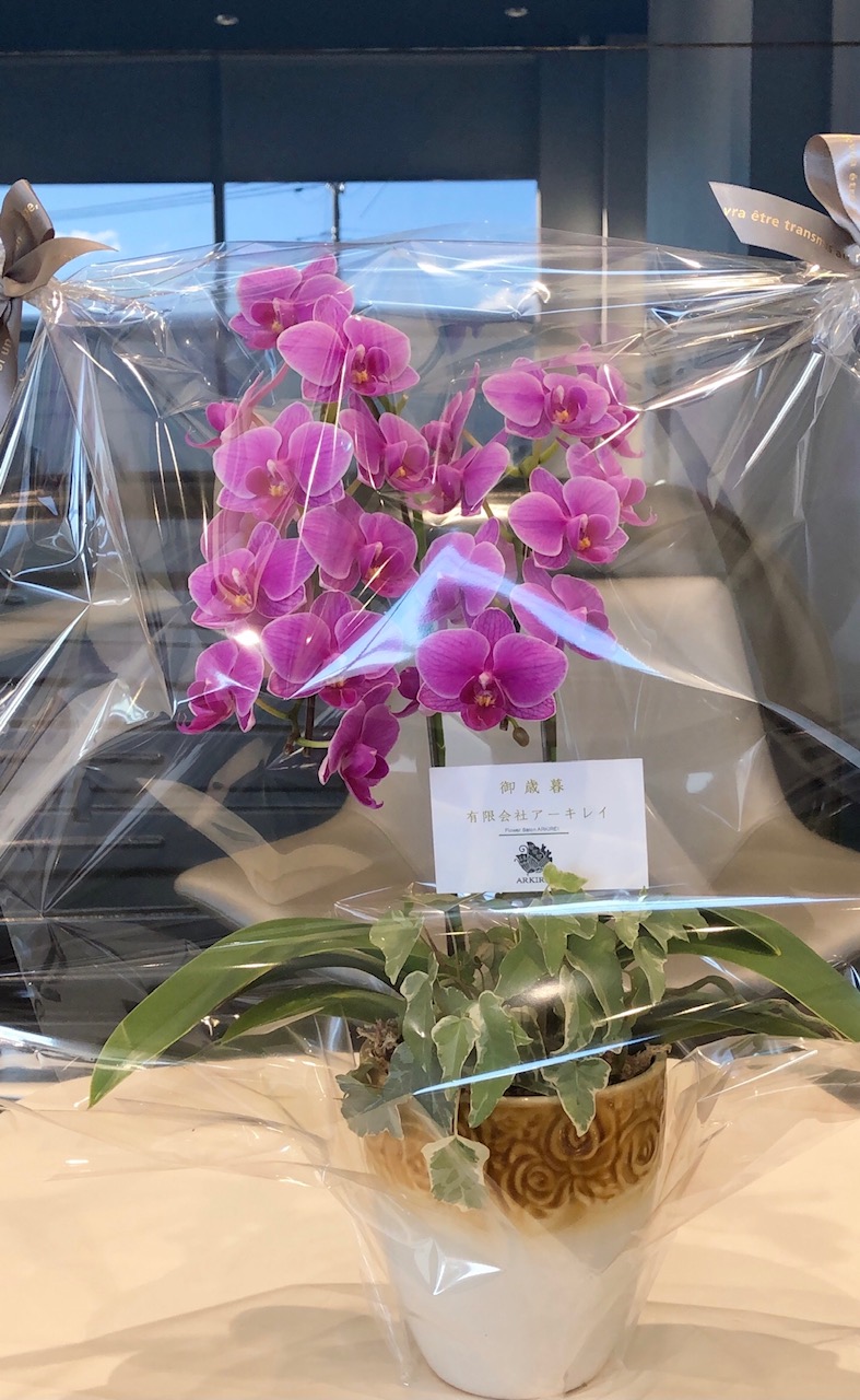 ✾２０２１年最終週のお花✾