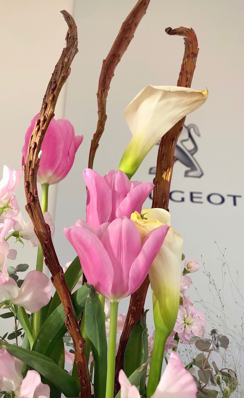 ✾今週のお花✾