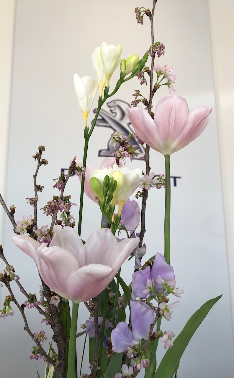 ❁今週のお花❁