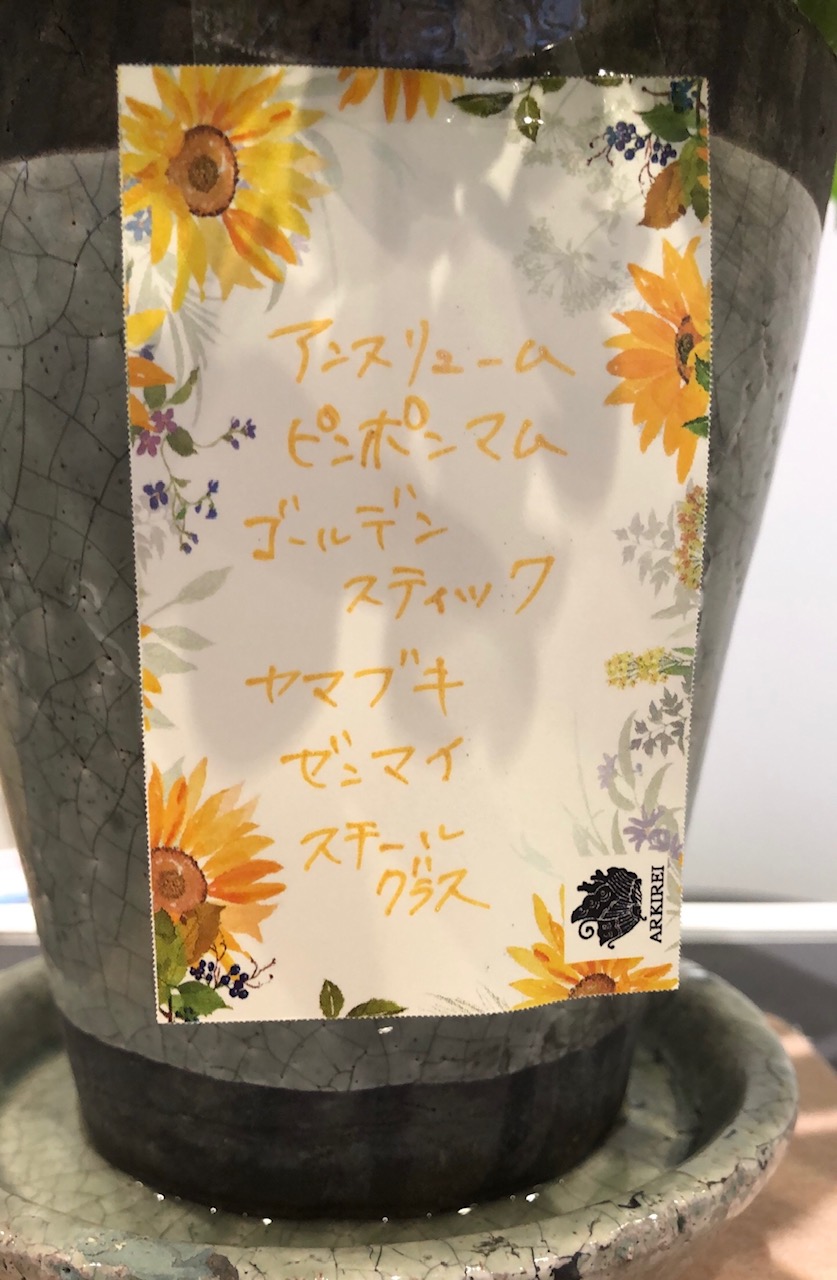 ❁今週のお花❁
