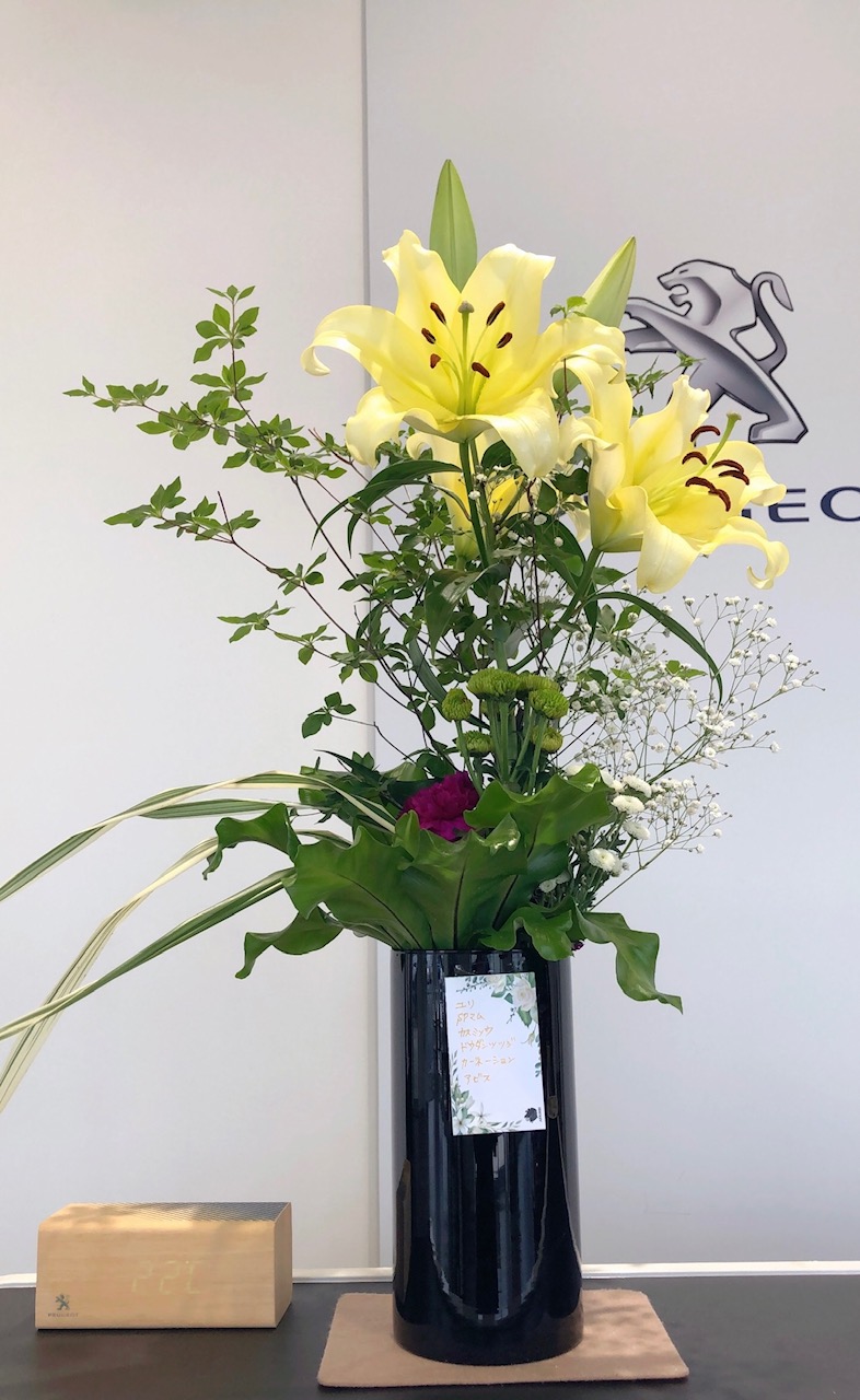 ✾今週のお花✾