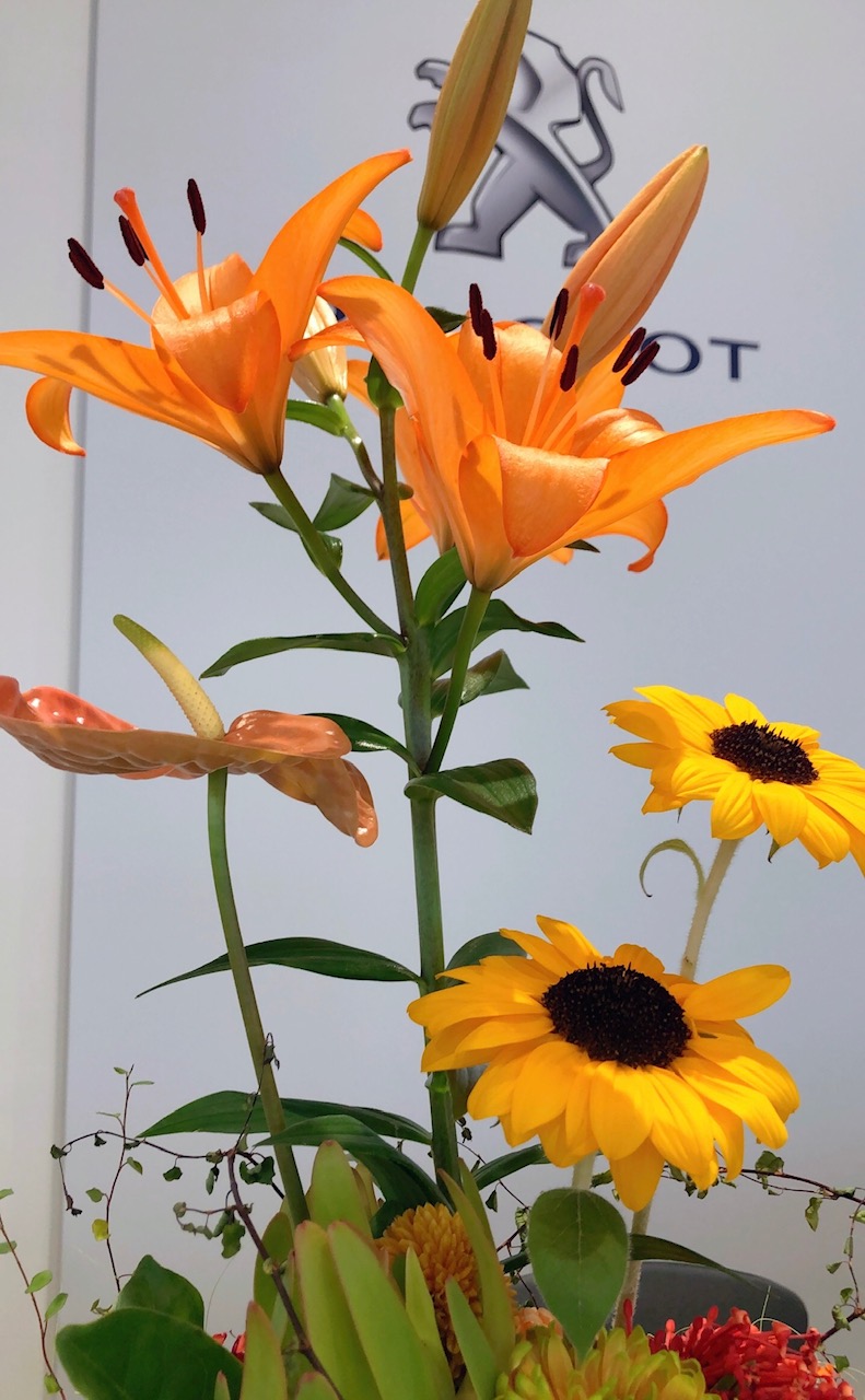 ✿今週のお花✿