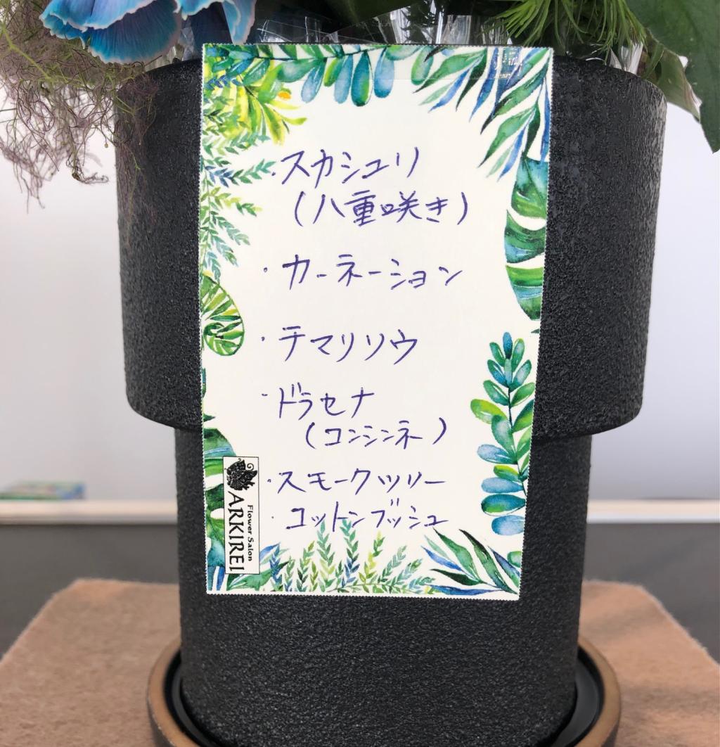 ✾今週のお花✾