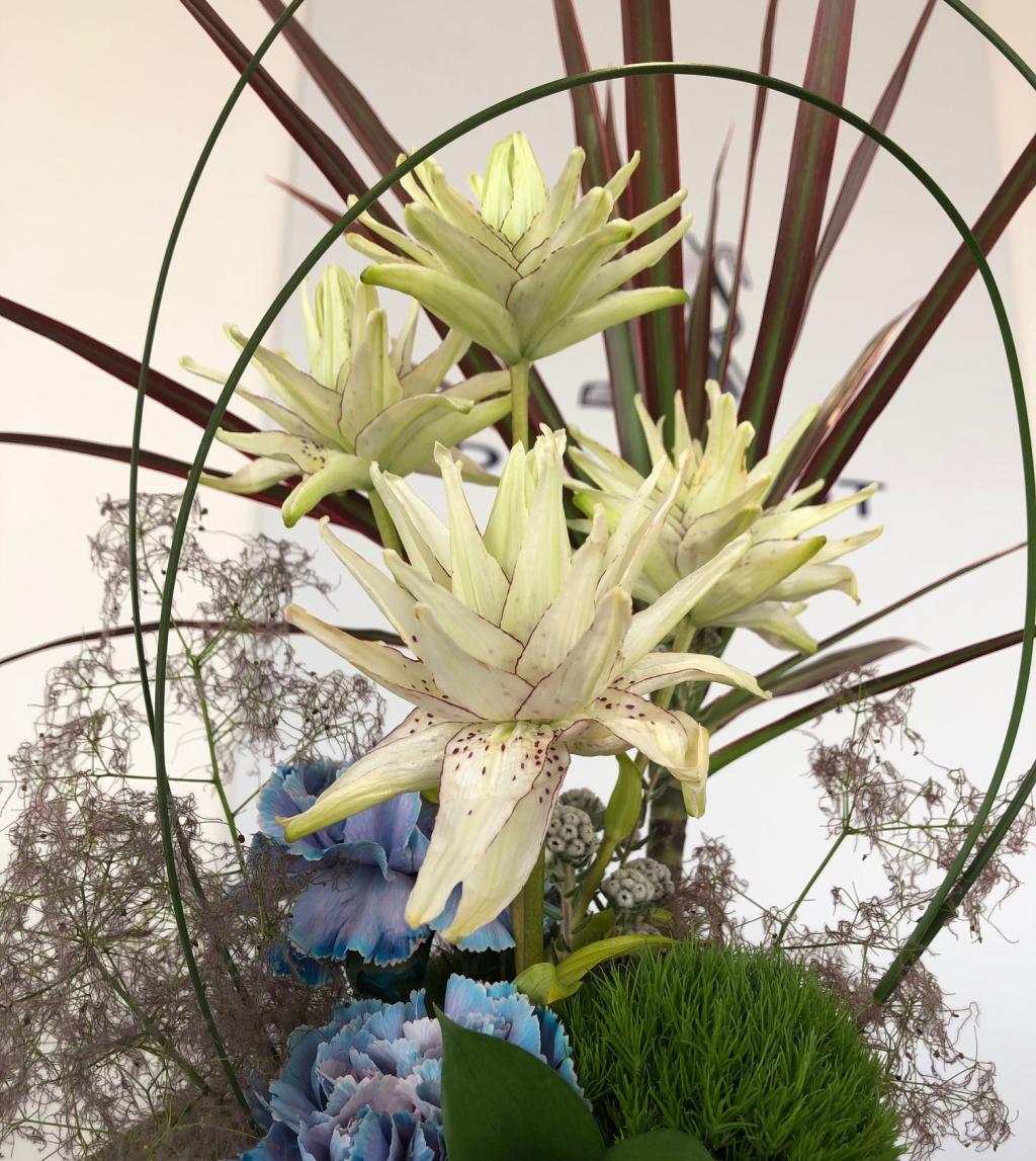 ✾今週のお花✾