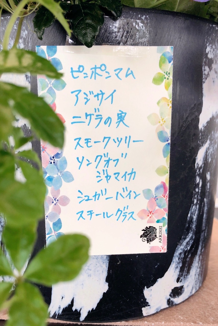 ❦今週のお花❧
