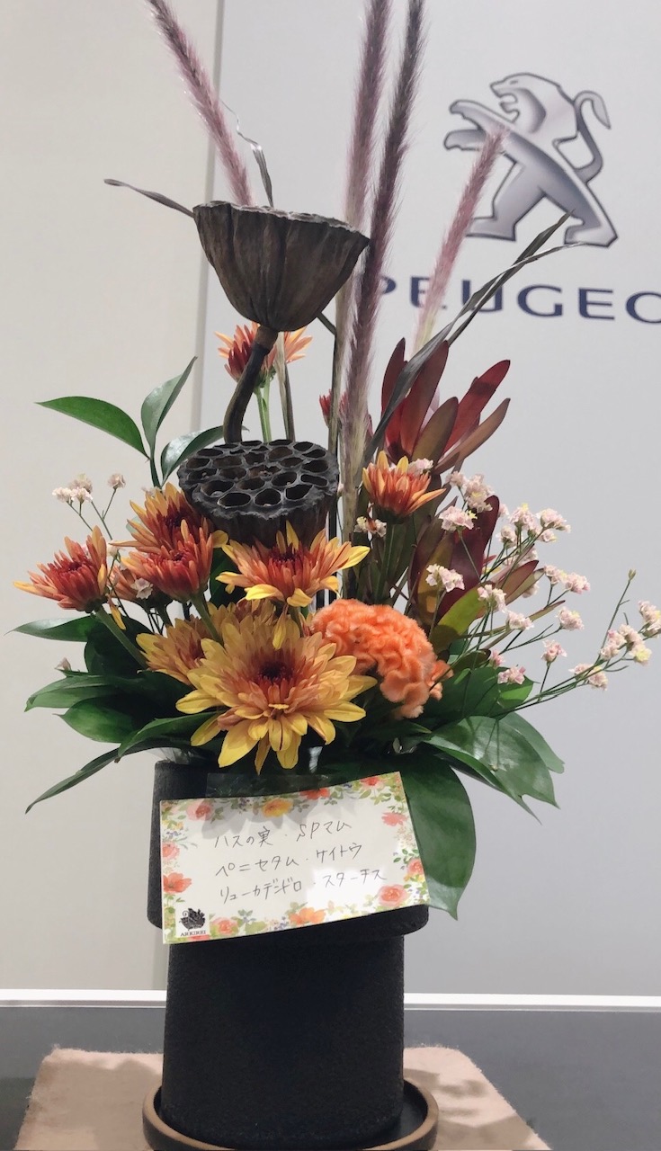 ✾今週のお花✾