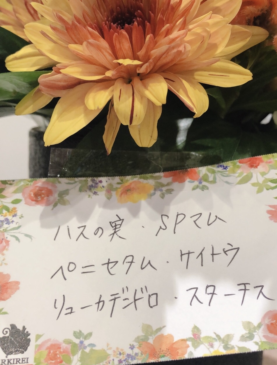 ✾今週のお花✾