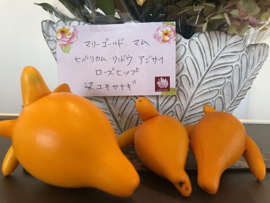 ✾今週のお花✾